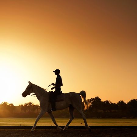 דובאי Melia Desert Palm Member Of Melia Collection מראה חיצוני תמונה A horse and rider at sunrise