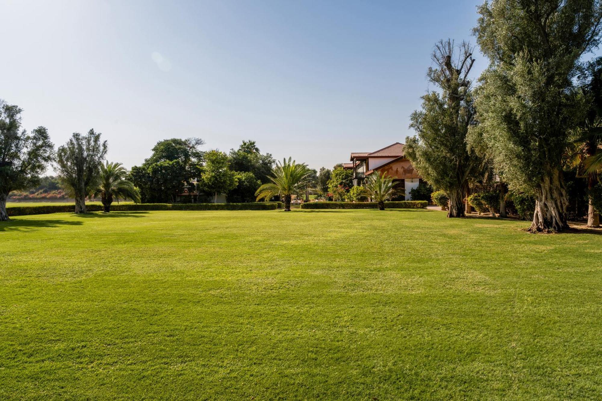 דובאי Melia Desert Palm Member Of Melia Collection מראה חיצוני תמונה The garden of the villa